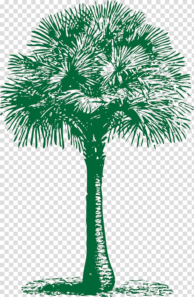 Arecaceae Coconut Tree Png Clipartsky