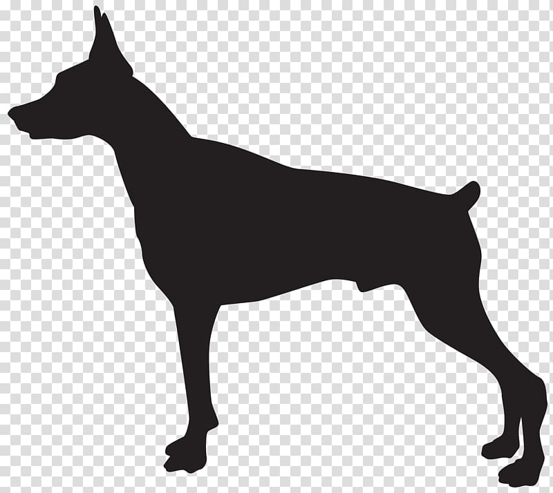 Download Dobermann illustration, Rottweiler German Shepherd Guard ...